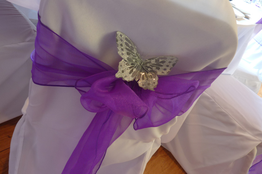 Butterfly Wedding ideas and inspiration Butterfly added to the sash